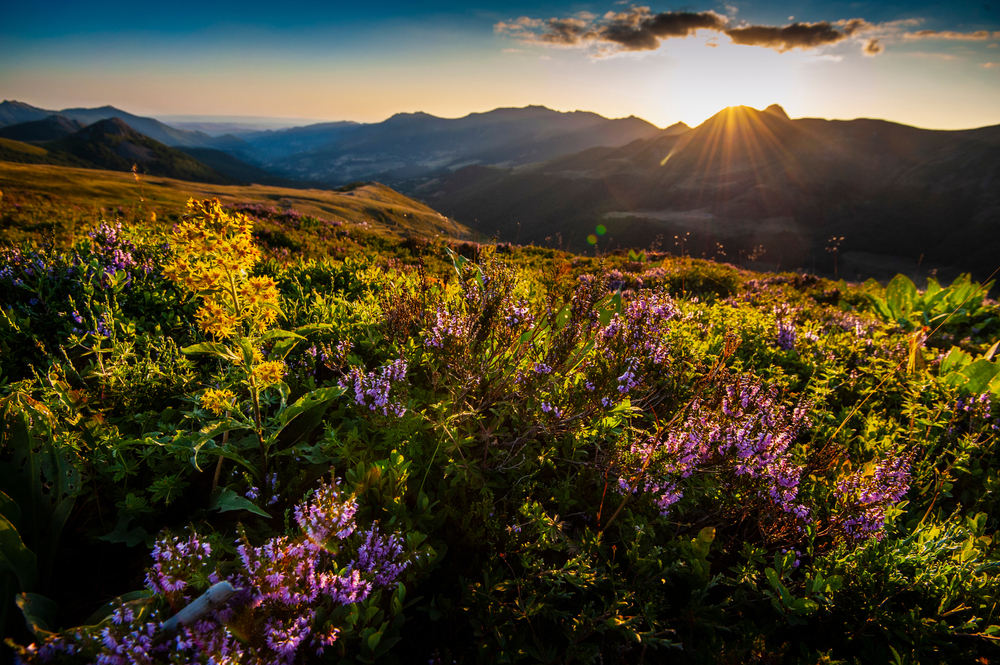 Cantal Wanderungen Puy Mary
