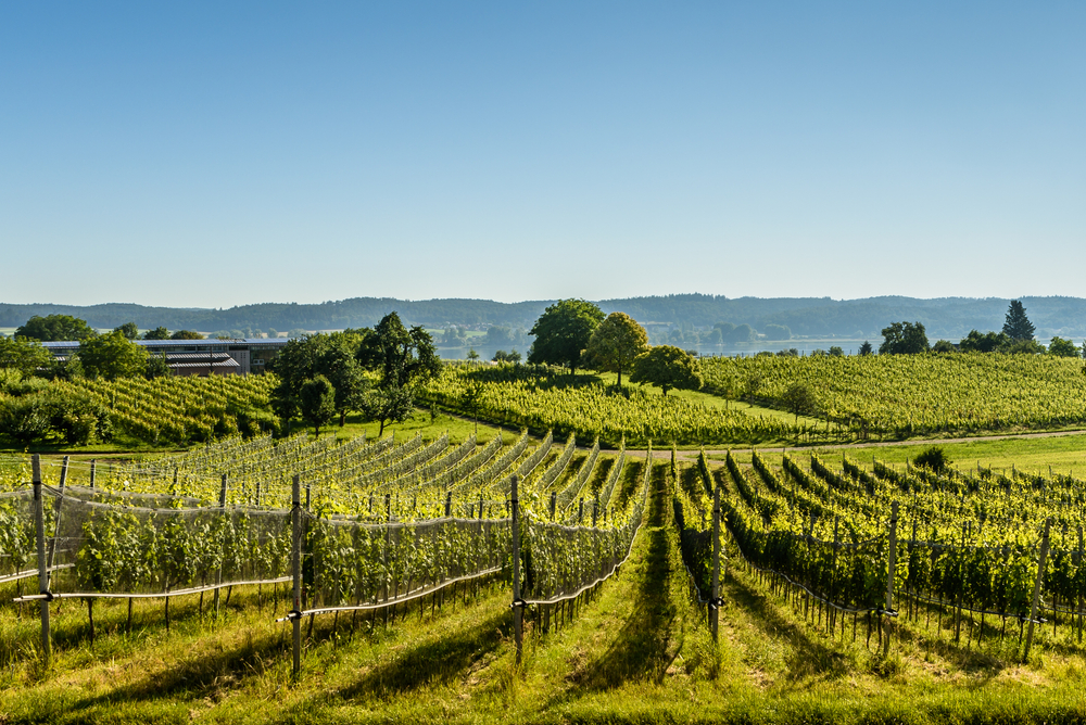 Insel Reichenau