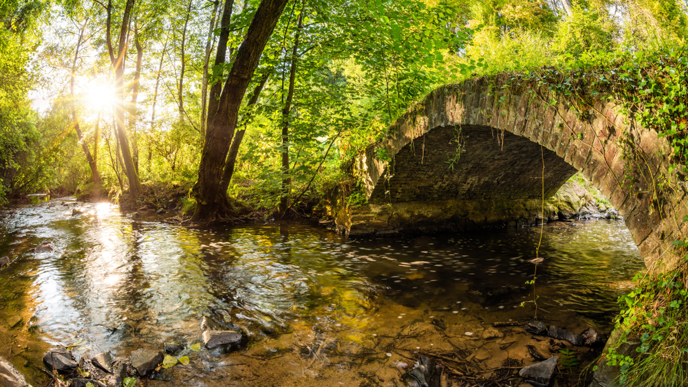 Brücke über Bach