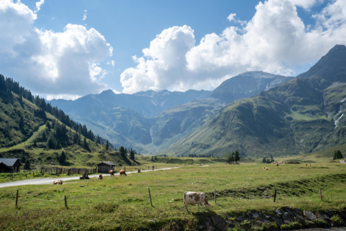 Gasteiner Höhenweg