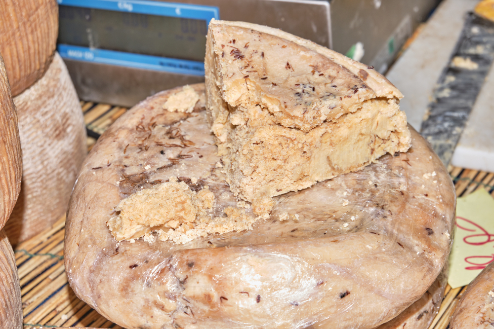 Casu Marzu